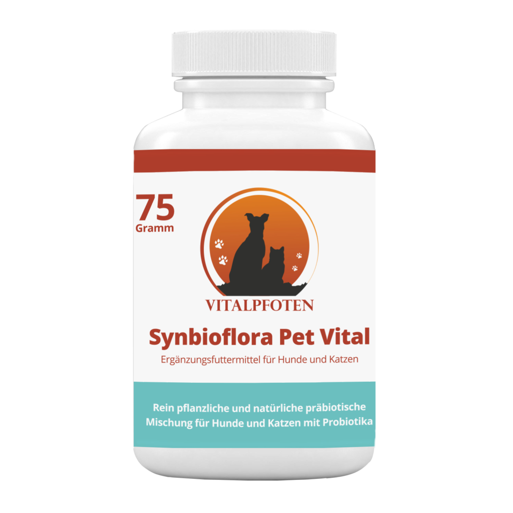 Durchfall Hund Katze Vitalpfoten Probiotikum Präbiotikum Synbiotikum Probiotika Hund Katze